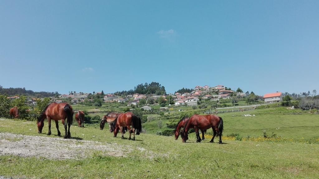 Penzion Casas Da Li Arcos de Valdevez Exteriér fotografie